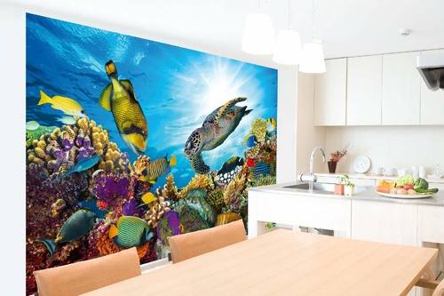 Vlies Fototapete - Korallenriff mit vielen Fischen 375 x 250 cm